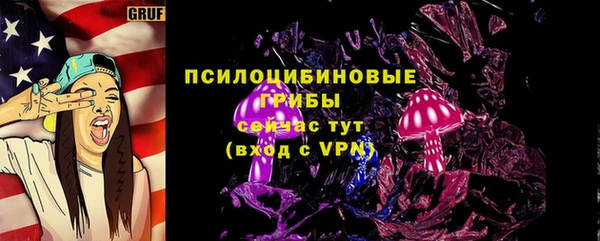 МДПВ Магас